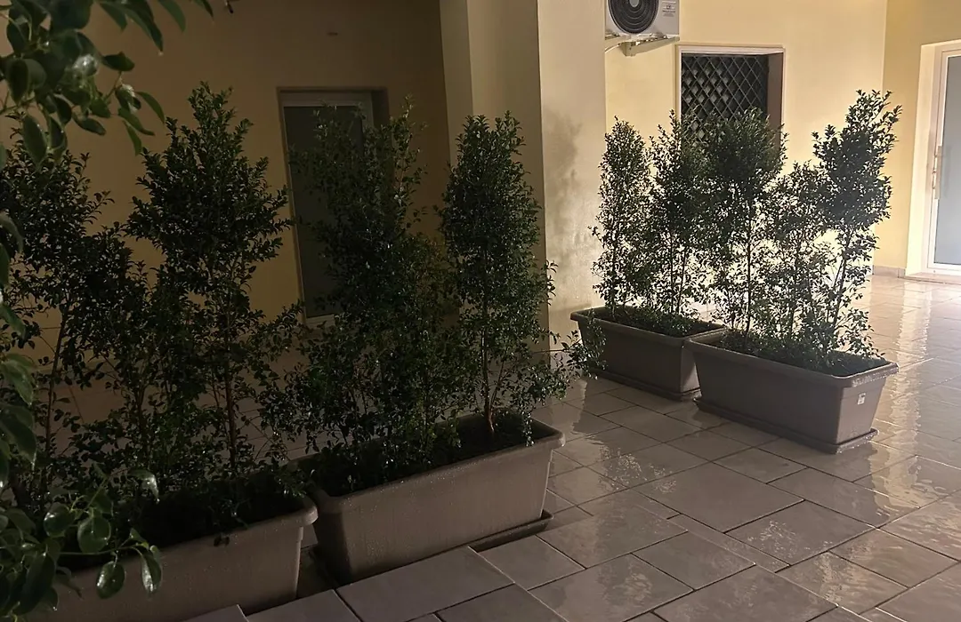 B&B Baciami Ancora-1